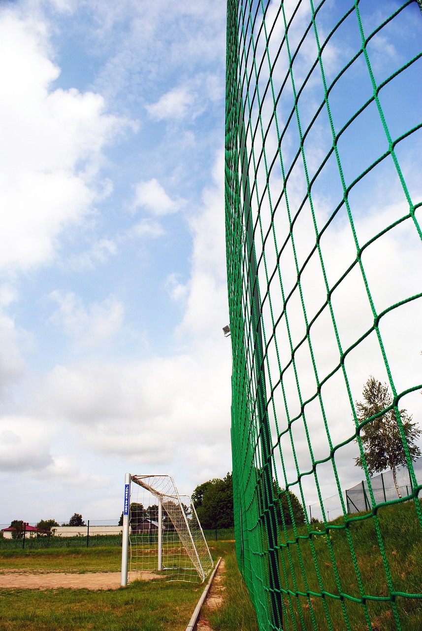 在英超联赛 在英超联赛