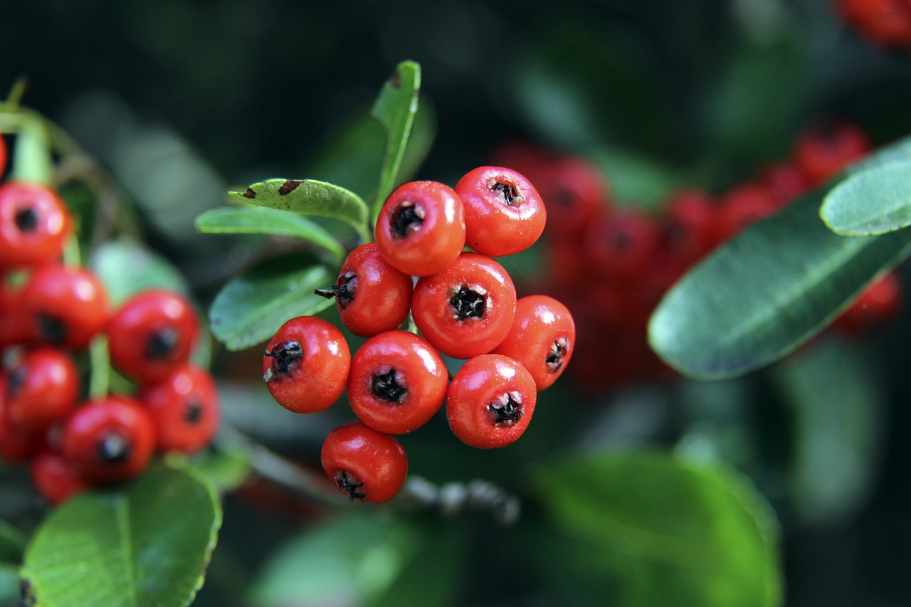 都曾穿着这 都曾穿着这