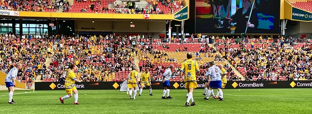 从而赢得了 从而赢得了