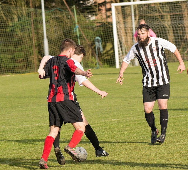 他们必须扮 他们必须扮